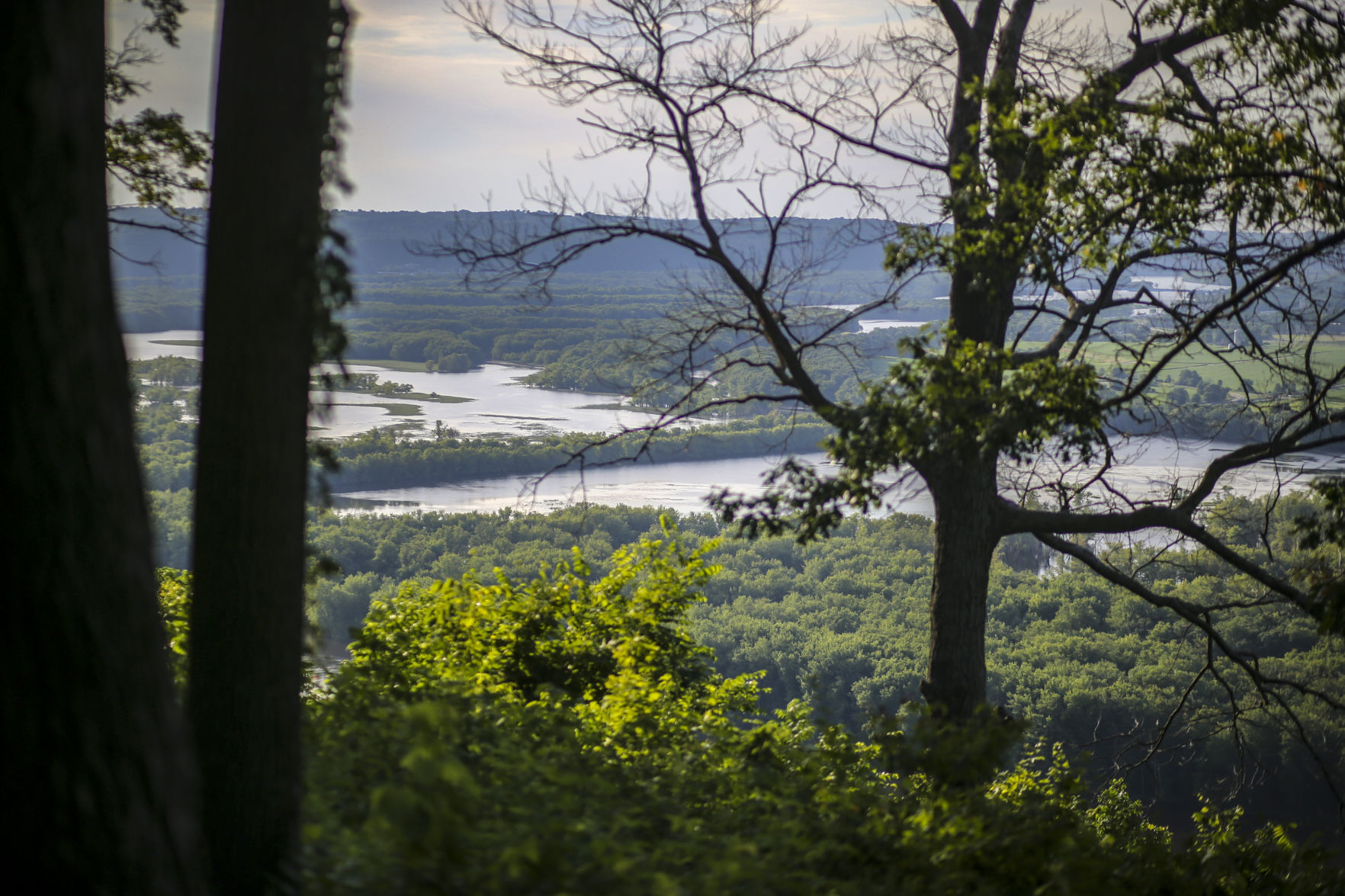 THE GREAT RIVER-0273